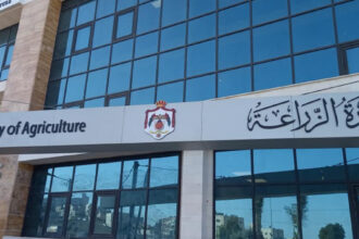 “الزراعة”: استقرار قطاع الدواجن ووفرة اللحوم الحمراء