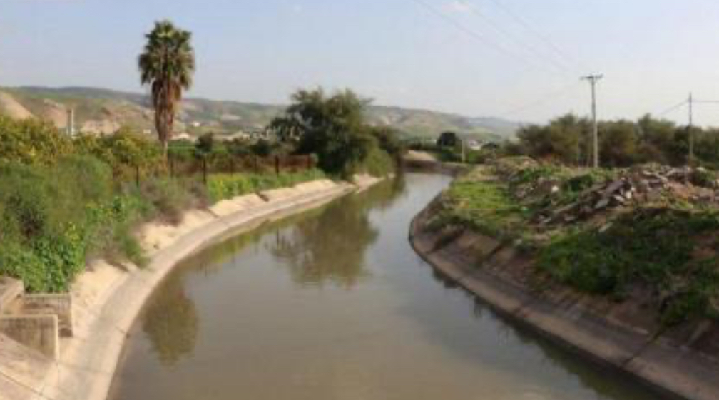 وفاة 3 أطفال غرقًا داخل بركة زراعية في الأغوار الشمالية وفاة 3 أطفال غرقًا داخل بركة زراعية في الأغوار الشمالية