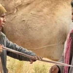 «الظفيري» أفضل ممثل.. «هجرة» أفضل فيلم في «أسوان الدولي»