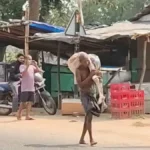 هندي ينبش قبر شقيقته ويأخذ جثتها إلى البنك لإثبات وفاتها!