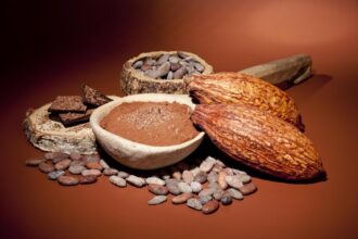 الكاكاو وتأثيره على العين.. نتائج واعدة من تجارب مخبرية