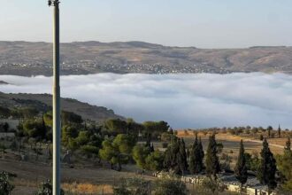 الطفيلة تشهد حركة سياحة ربيعية نشطة مقرونة بإرتفاع درجات الحرارة