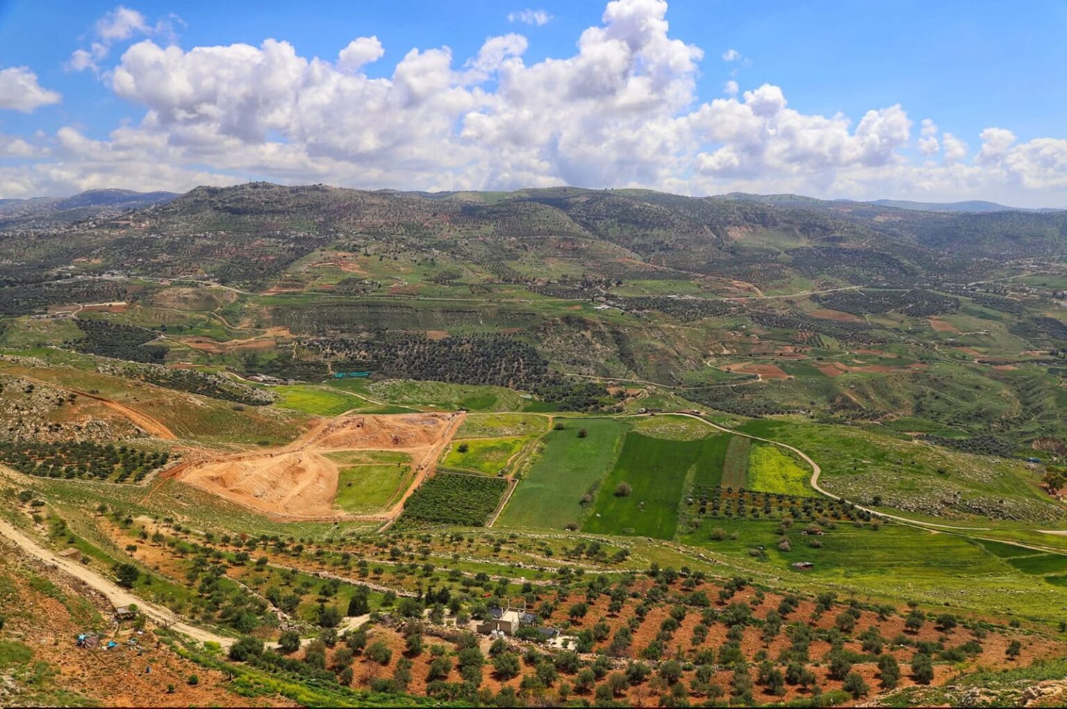 الربيع في عجلون..لوحة طبيعية نابضة بالحياة تستقطب الزوار