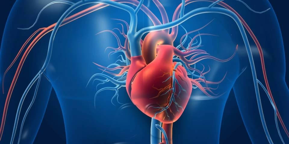 النوم أم الرياضة؟ خبير قلب يحسم الجدل حول أفضل عادة صحية