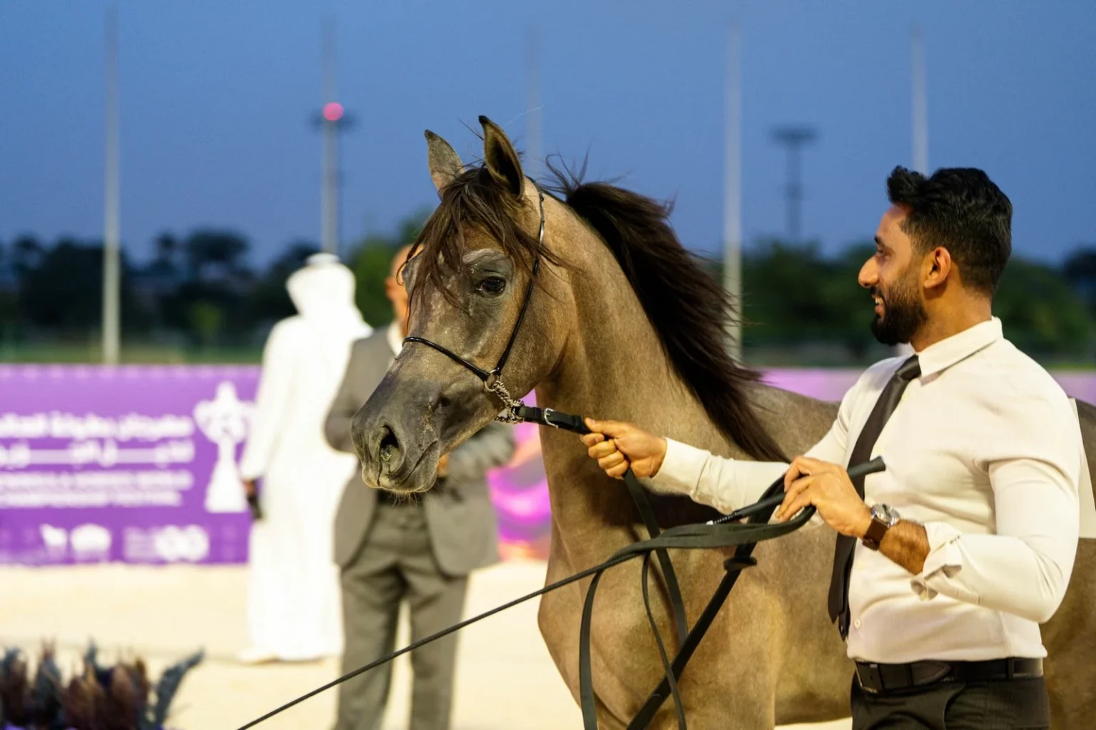 340 جواداً في بطولة العالم لخيل الجزيرة
