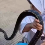 فيديو: «مفاجأة مرعبة».. شاهد ماذا أخرجت طفلة من حقيبتها المدرسية أمام والدها؟