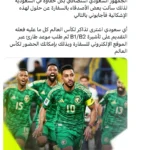 «بين هامبورغ» يوضح طريقة حصول السعوديين على تأشيرة حضور المونديال