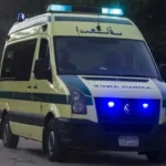 كابوس في «الكوم الأحمر».. حاولوا إطفاء النيران فخطفهم التيار الكهربائي!