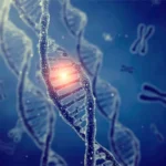 من مختبرات جامعة كانساس.. شفرة جينية جديدة تحارب السرطان والأوبئة