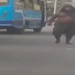 أثار ذعراً جماعياً.. كواليس مطاردة «رجل الغابة» في شوارع القاهرة