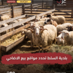 بلدية السلط تعتمد موقعين لبيع الأضاحي وتحذر من الحظائر العشوائية