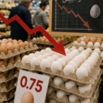 انهيار في أسعار البيض في الأسواق الأردنية.. هل "نظام الطيبات" هو المتهم الأول؟