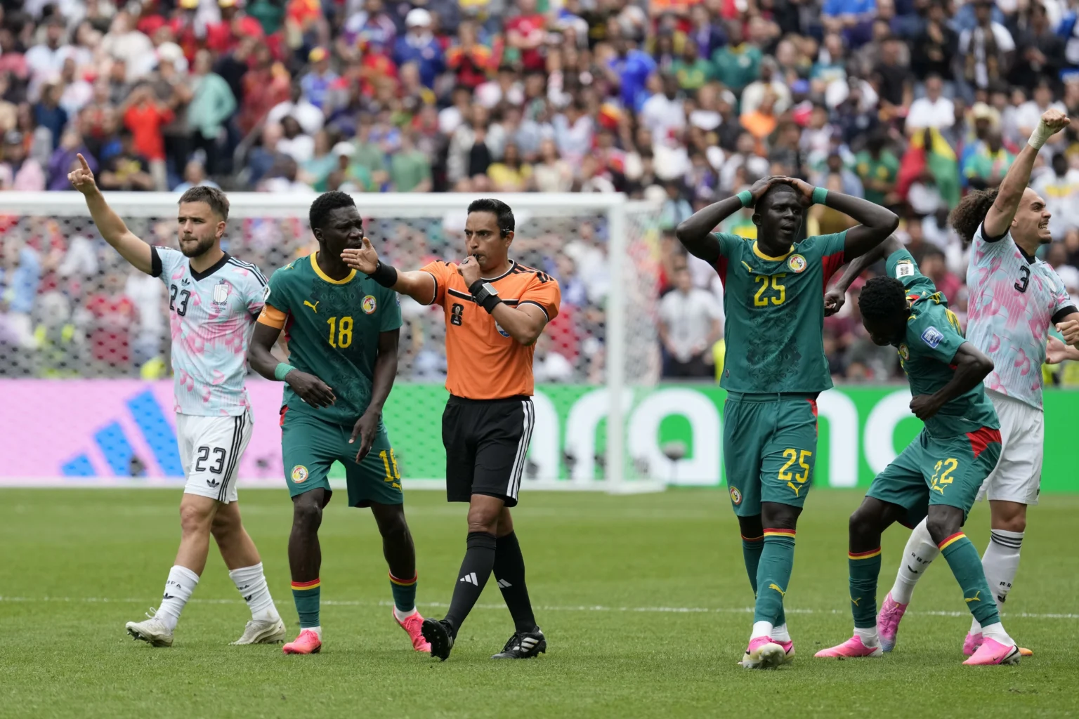 السنغال.. وأغرب رقم في تاريخ كأس العالم