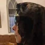 إطلالة حزينة لفيروز في الذكرى الأولى لرحيل زياد رحباني