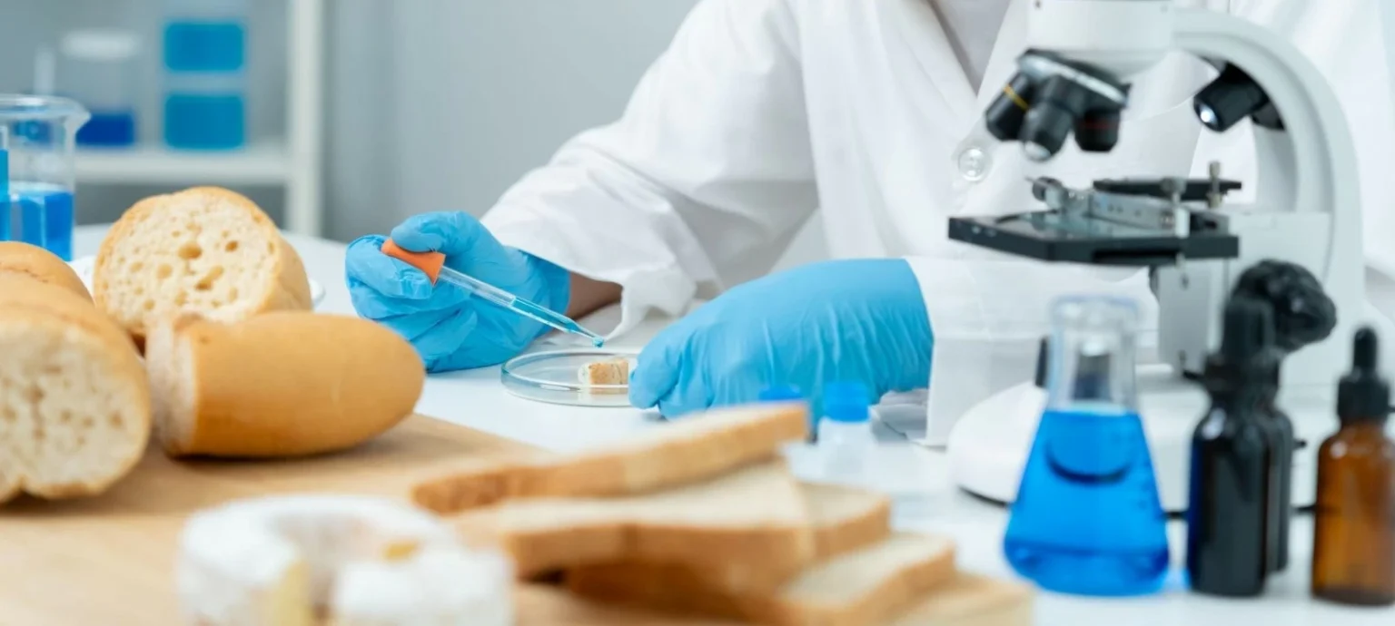 علماء روس يطورون خبزاً غنياً بالبروتين والألياف لدعم إنقاص الوزن
