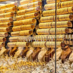 82.8 ديناراً سعر الذهب عيار 21 بالسوق المحلية