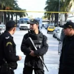 تونس: حفريات داخل منزل ريفي تقود إلى شبكة آثار