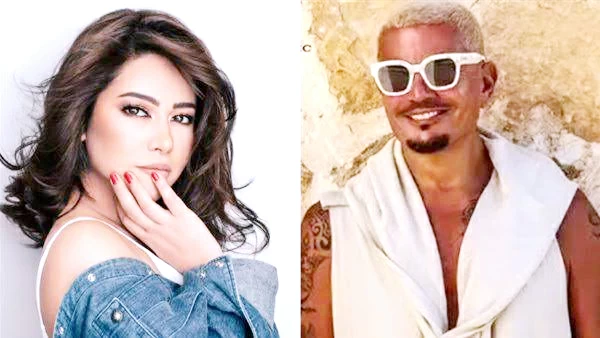 أرقام بنكهة عربية.. نجوم الفن في سجلات «غينيس»