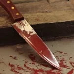 توهم الخيانة فدمر بيته.. السجن المؤبد لمصري حاول قتل زوجته