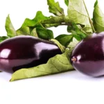 فوائد الباذنجان: