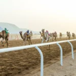50 مليون ريال جوائز مهرجان ولي العهد للهجن 2026