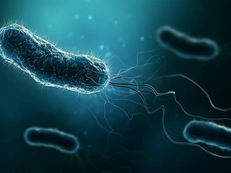 روبوتات مجهرية تعلن الحرب على البلاستيك.. هل اقتربت نهاية التلوث الخفي؟
