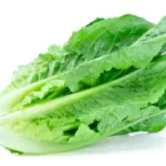 فوائد الخس:
