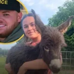 بحث عن طفلة مفقودة ينتهي بمقتل حمار ويشعل أزمة قانونية في جورجيا