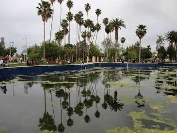 بعدما طلبت زوجته الطلاق.. مسن عربي يرتكب «مجزرة خارج المحكمة»