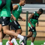احذروا بريتوريا.. صن داونز لم يخسر على ملعبه منذ مايو 2024