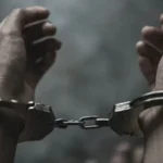 أعوام بين الروث والقش.. كيف أدار «مطلوب أمني» إمبراطورية إجرامية من «إسطبل»؟
