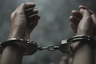 أعوام بين الروث والقش.. كيف أدار «مطلوب أمني» إمبراطورية إجرامية من «إسطبل»؟