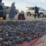 ظاهرة عربية.. الصيد الجائر يلتهم أسراب الطيور المهاجرة