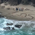 ذهبوا لالتقاط صورة.. فحاصرهم المد وكتبوا «SOS» على الشاطئ