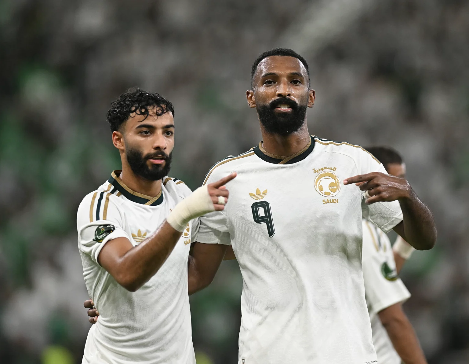 عُمان.. شباك البريكان المفضلة