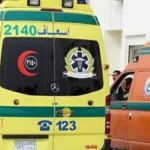 دخلا حمام الفتيات بالخطأ.. سقوط مروع لشقيقين من نافذة المدرسة بالفيوم