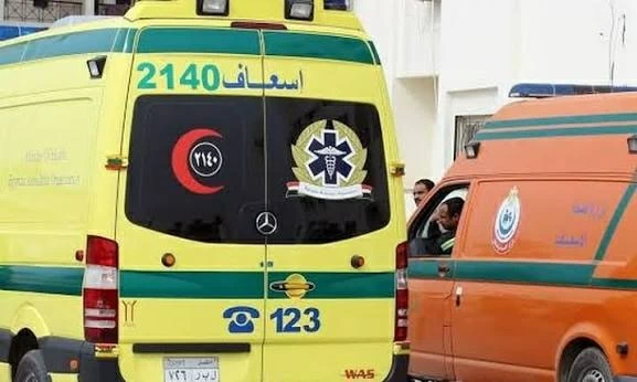دخلا حمام الفتيات بالخطأ.. سقوط مروع لشقيقين من نافذة المدرسة بالفيوم