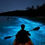 هل رأيت بحرًا يضيء؟ 5 شواطئ تكشف سر التوهج الليلي