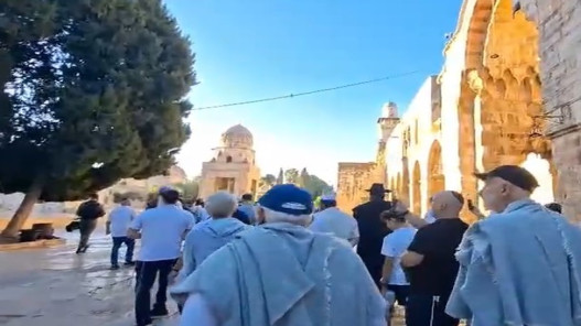 أكثر من 100 مستوطن يقتحمون المسجد الأقصى بحماية قوات الاحتلال​ 