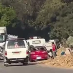 نهر النيل يبتلع طفلين بعد سقوط سيارة أسرتهما في المياه