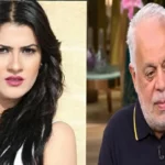 تأجيل استئناف ياسمينا المصري في قضية سب وقذف أشرف زكي