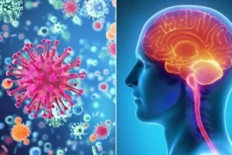 مرض خطير يهدد المخ.. 7 إجراءات للوقاية تبدأ بالتطعيم