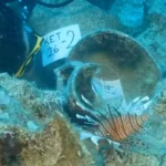 ما سر السفينة الغارقة قبالة تركيا منذ 4500 عام؟