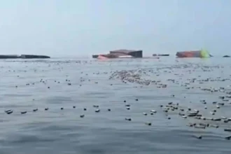 آيفون وعطور فاخرة تطفو في مضيق هرمز!.. ما حقيقة الفيديوهات المتداولة؟
