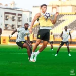 فيسينغ يستبعد سيميتش ولوبي من قائمة الاتحاد أمام الاتفاق