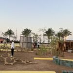 أسبوع عمان للتصميم يوسّع فعالياته إلى عراق الأمير والعقبة