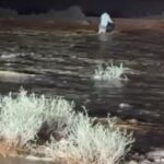 ‏كوادر الدفاع المدني والشرطة تنقذان شخصين من مجرى أحد السيول وتبحثان عن ثالث مفقود