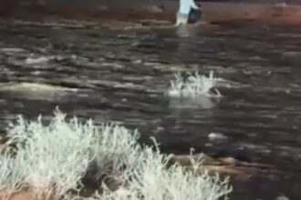 ‏كوادر الدفاع المدني والشرطة تنقذان شخصين من مجرى أحد السيول وتبحثان عن ثالث مفقود