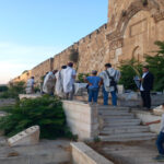 مستوطنون يدنسون مقبرة باب الرحمة المحاذية للمسجد الأقصى​ 