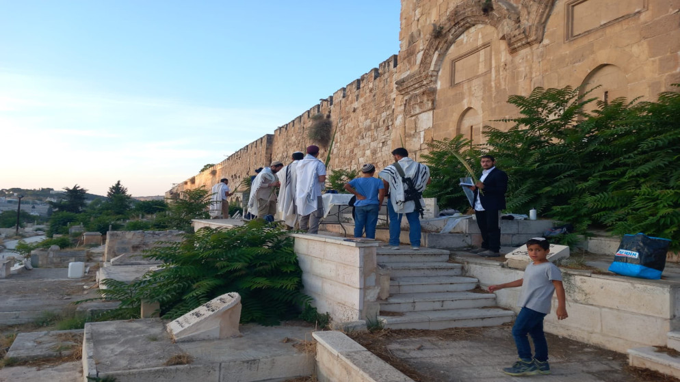 مستوطنون يدنسون مقبرة باب الرحمة المحاذية للمسجد الأقصى​ 